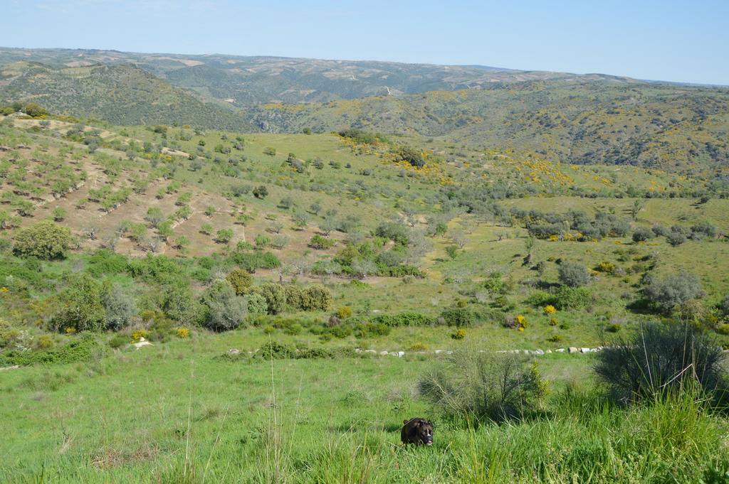 Casa Rural El Meson فيرموسيلي المظهر الخارجي الصورة